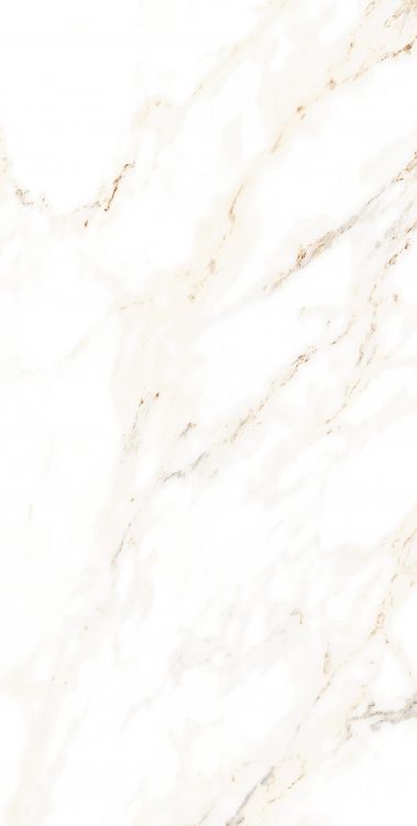 AGL Lusso Staturio Polished 12 x 24